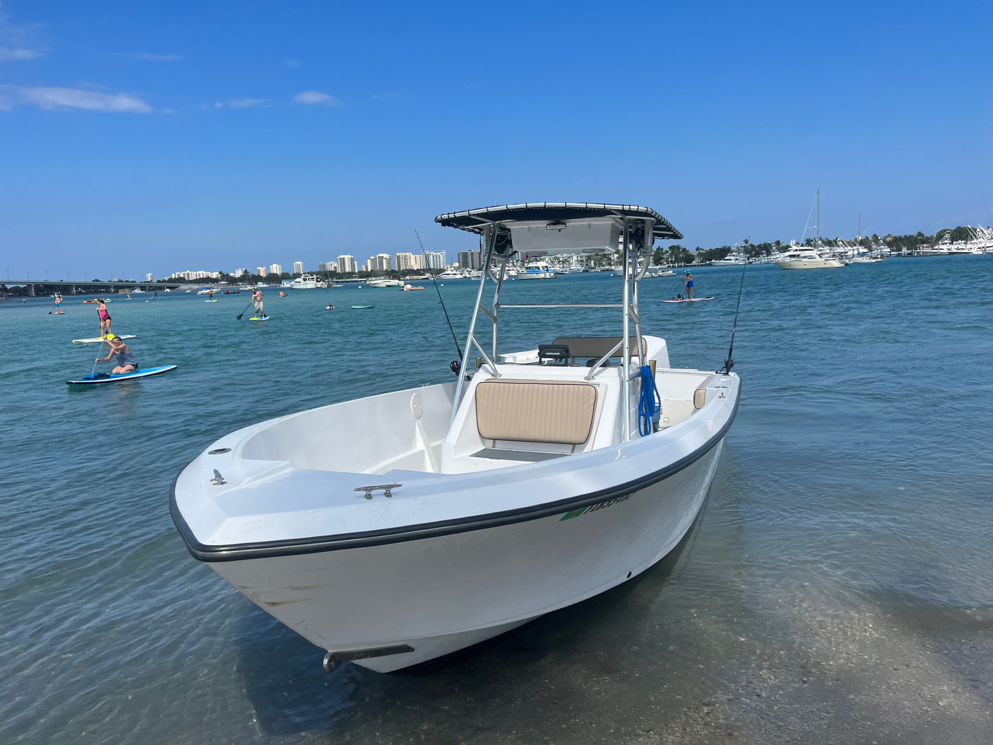 Proline 25'