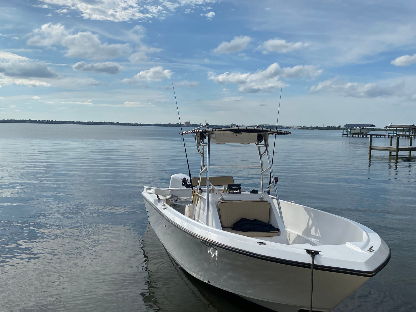 Proline 25'